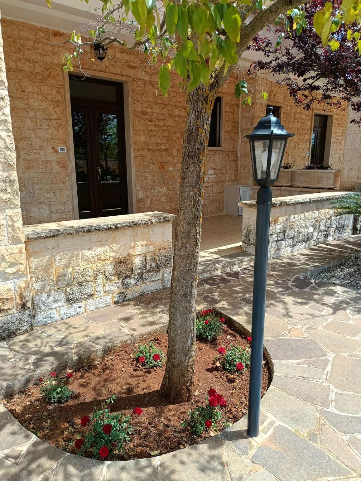 Lisi Apartment Selva Di Fasano