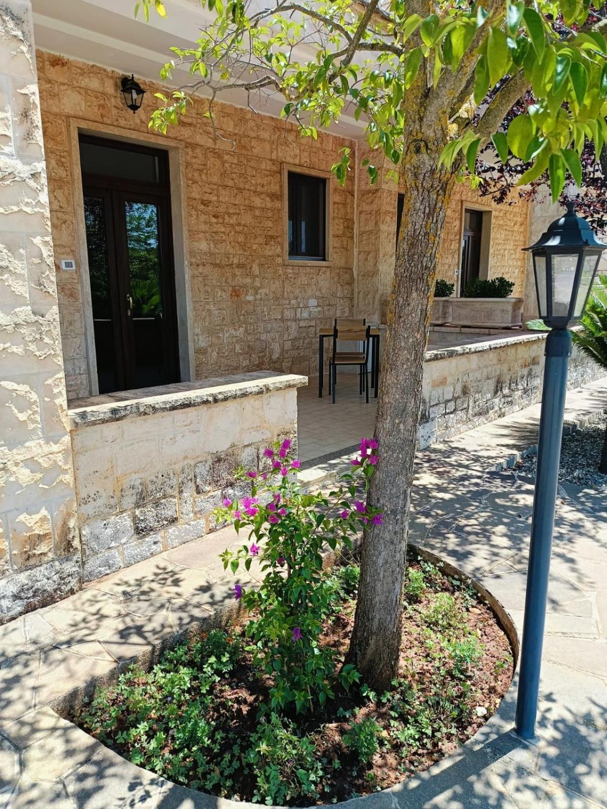Apartment Lisi *